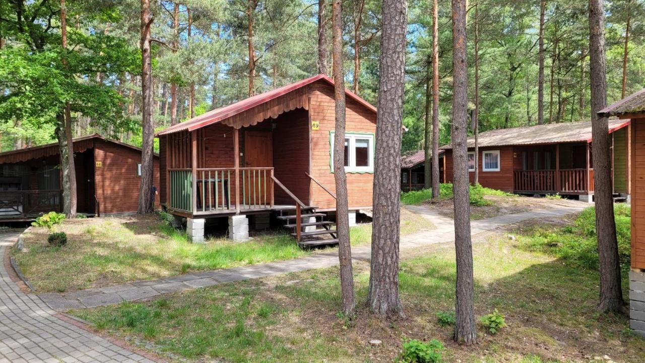 Ow Krakus I - I Resort Stegna (Pomerania)